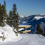 Mountain View * Kaltenbach